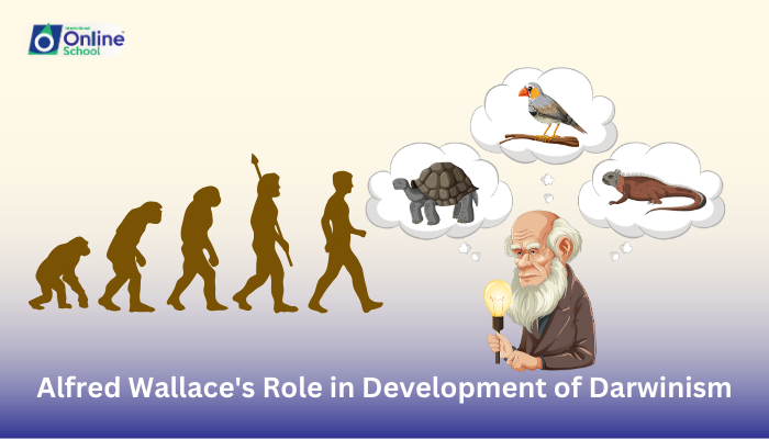 Lesson 08: Description of Alfred Wallace's Role in the Development of Darwinism